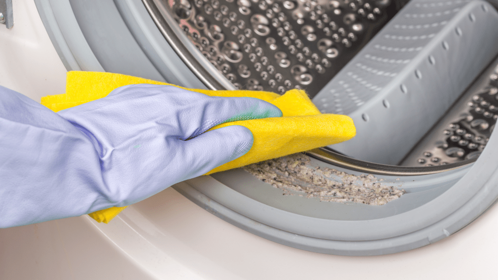How to Take Care of Your Washing Machine